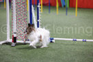 11140334